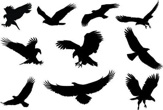 eagle silhouette, fliying bird silhouette Die Cut Vinyl Decal