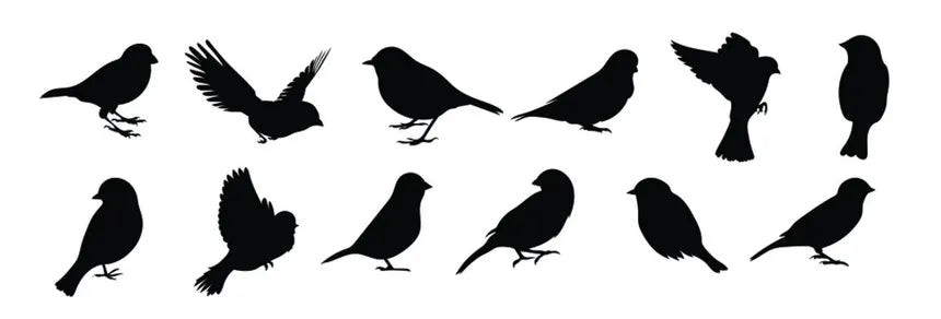 Set of black bird silhouettes. Vector elements for design Die Cut Vinyl Decal