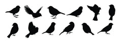 Set of black bird silhouettes. Vector elements for design Die Cut Vinyl Decal