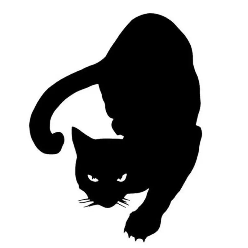 Simple Pet Cat Car Personality Reflective Sticker. Die Cut Vinyl Decal/ Bumper For Windows, Cars, Trucks, Laptops, Etc. (Copy) (Copy)