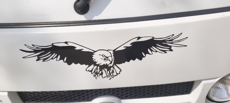 Hood Decal Flying Eagle Vinyl Die Cut Vinyl Decal