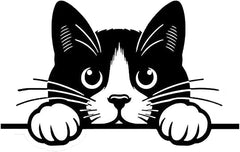 Peeking Cat Car Stickers, Die Cut Vinyl Decal