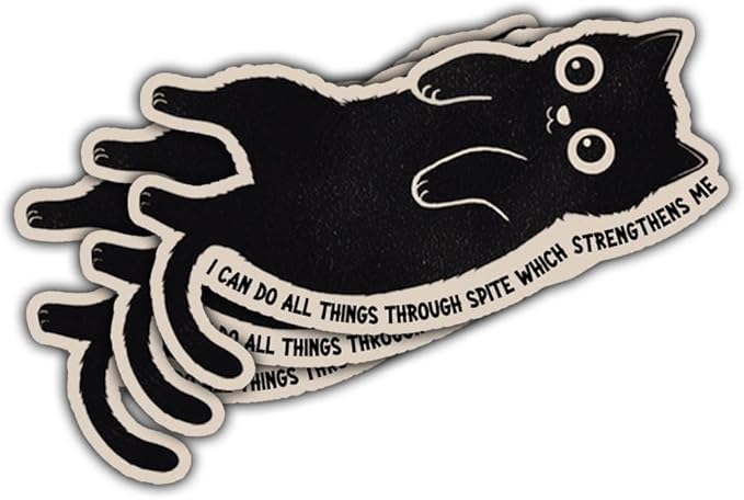 Can Do All Things Through Spite Which Strengthens Me Sticker Die Cut Vinyl Decal