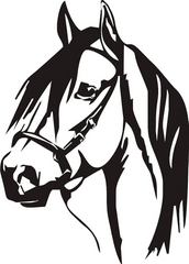 Horse 2 Vinyl Decal Die Cut Vinyl Decal