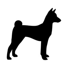 Jack Russell terrier Vinyl Die Cut Vinyl Decal/ Bumper For Windows, Cars, Trucks, Laptops, Etc.