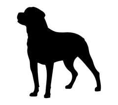 Rottweiler Vinyl Die Cut Vinyl Decal/ Bumper For Windows, Cars, Trucks, Laptops, Etc.