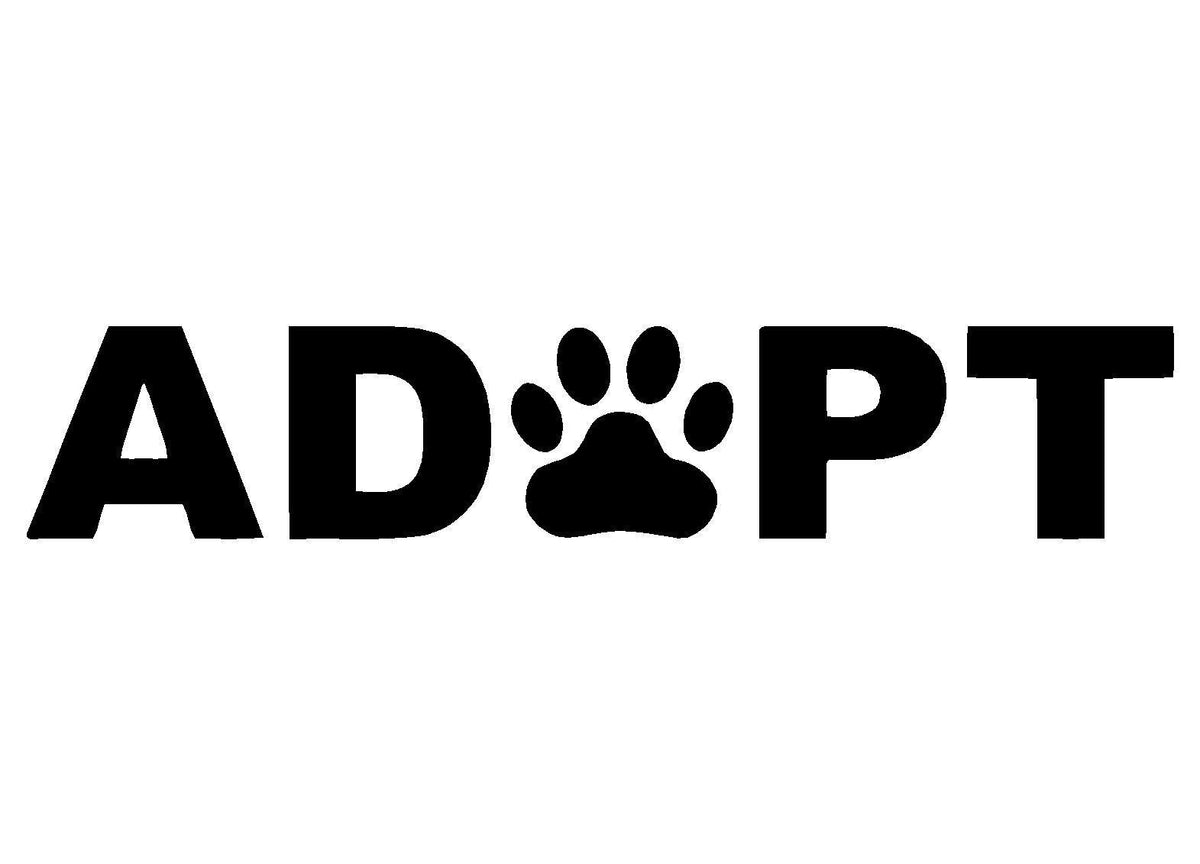 DOG LIFE Paw  Cute Family Vinyl Die Cut Vinyl Decal/ Bumper For Windows, Cars, Trucks, Laptops, Etc.