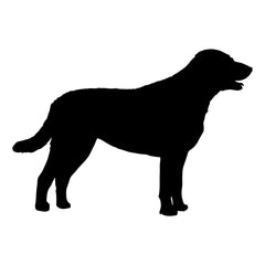Chesapeake Bay retriever Vinyl Die Cut Vinyl Decal/ Bumper For Windows, Cars, Trucks, Laptops, Etc.