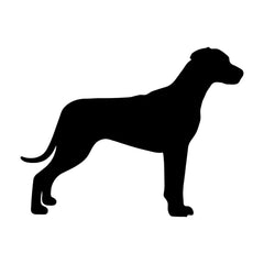 Rhodesian Ridgeback Vinyl Die Cut Vinyl Decal/ Bumper For Windows, Cars, Trucks, Laptops, Etc.