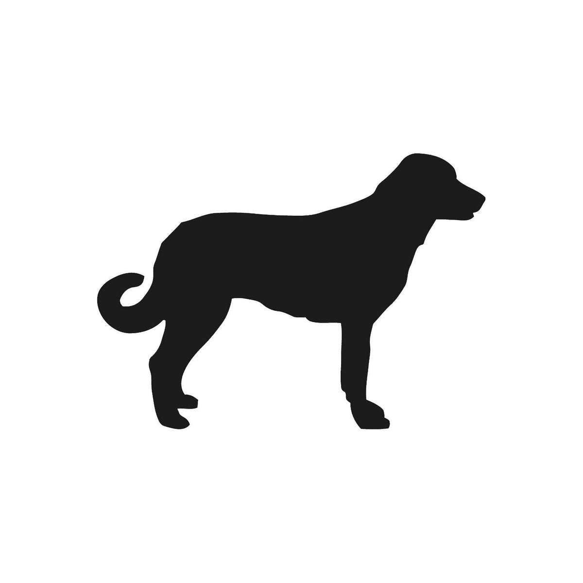 Anatolian shepherd Vinyl Die Cut Vinyl Decal/ Bumper For Windows, Cars, Trucks, Laptops, Etc.
