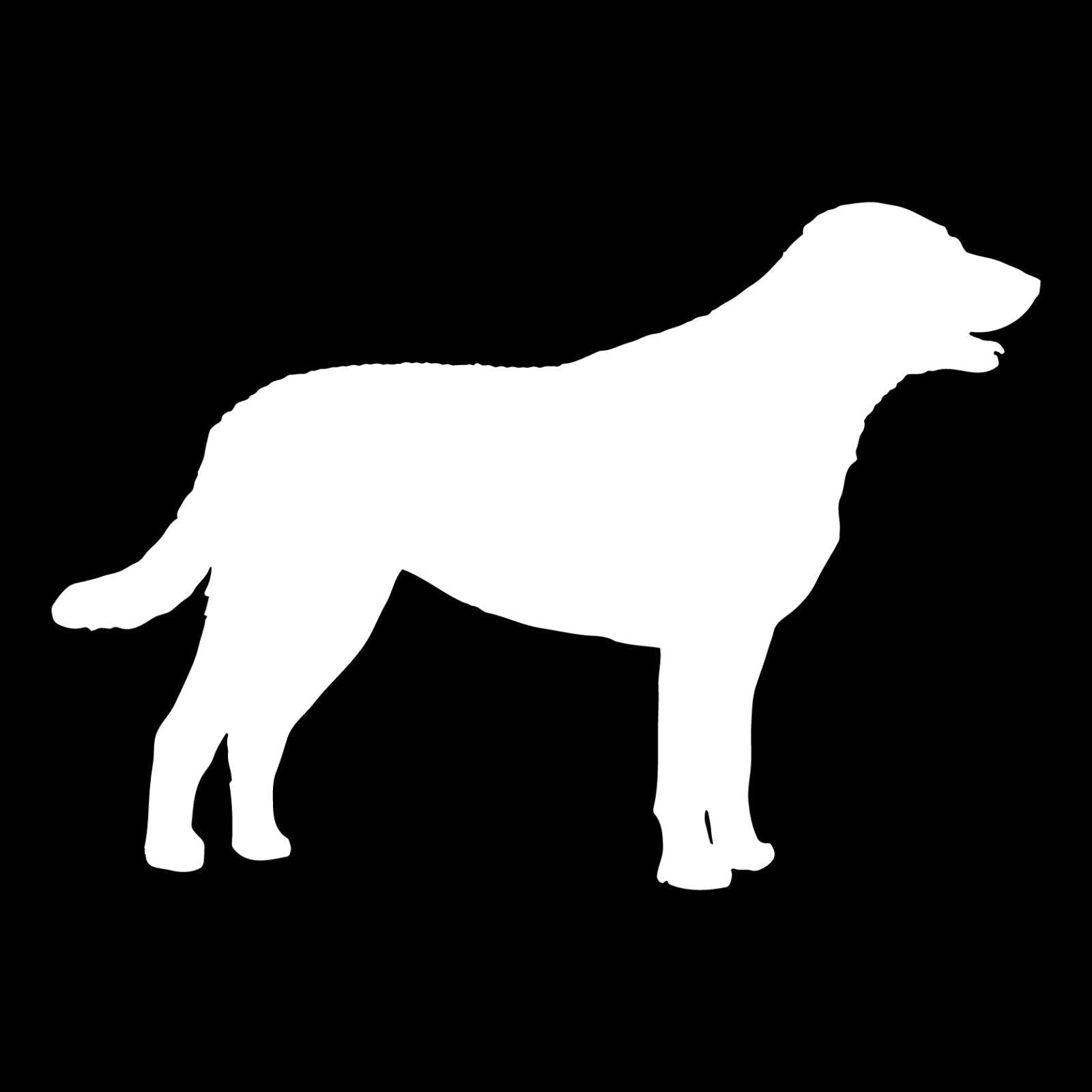 Chesapeake Bay retriever Vinyl Die Cut Vinyl Decal/ Bumper For Windows, Cars, Trucks, Laptops, Etc.