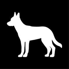 Belgian Malinois Vinyl Die Cut Vinyl Decal/ Bumper For Windows, Cars, Trucks, Laptops, Etc.