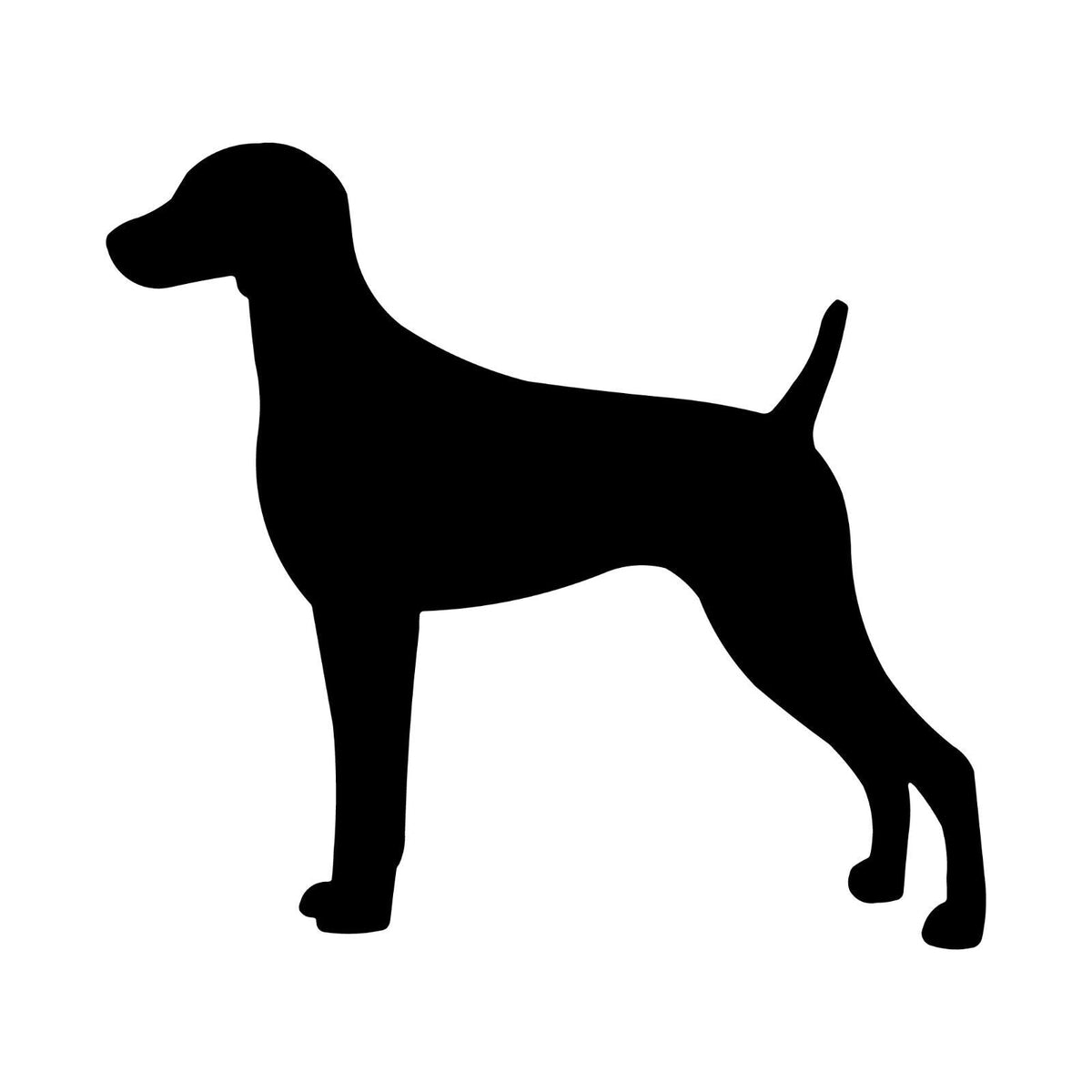 Weimaraner Vinyl Die Cut Vinyl Decal/ Bumper For Windows, Cars, Trucks, Laptops, Etc.