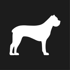 Cane Corso Vinyl Die Cut Vinyl Decal/ Bumper For Windows, Cars, Trucks, Laptops, Etc.