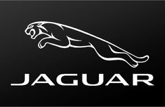 Jaguar Emblem Logo Vinyl Die Cut Vinyl Decal/ Bumper For Windows, Cars, Trucks, Laptops, Etc.