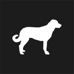 Anatolian shepherd Vinyl Die Cut Vinyl Decal/ Bumper For Windows, Cars, Trucks, Laptops, Etc.