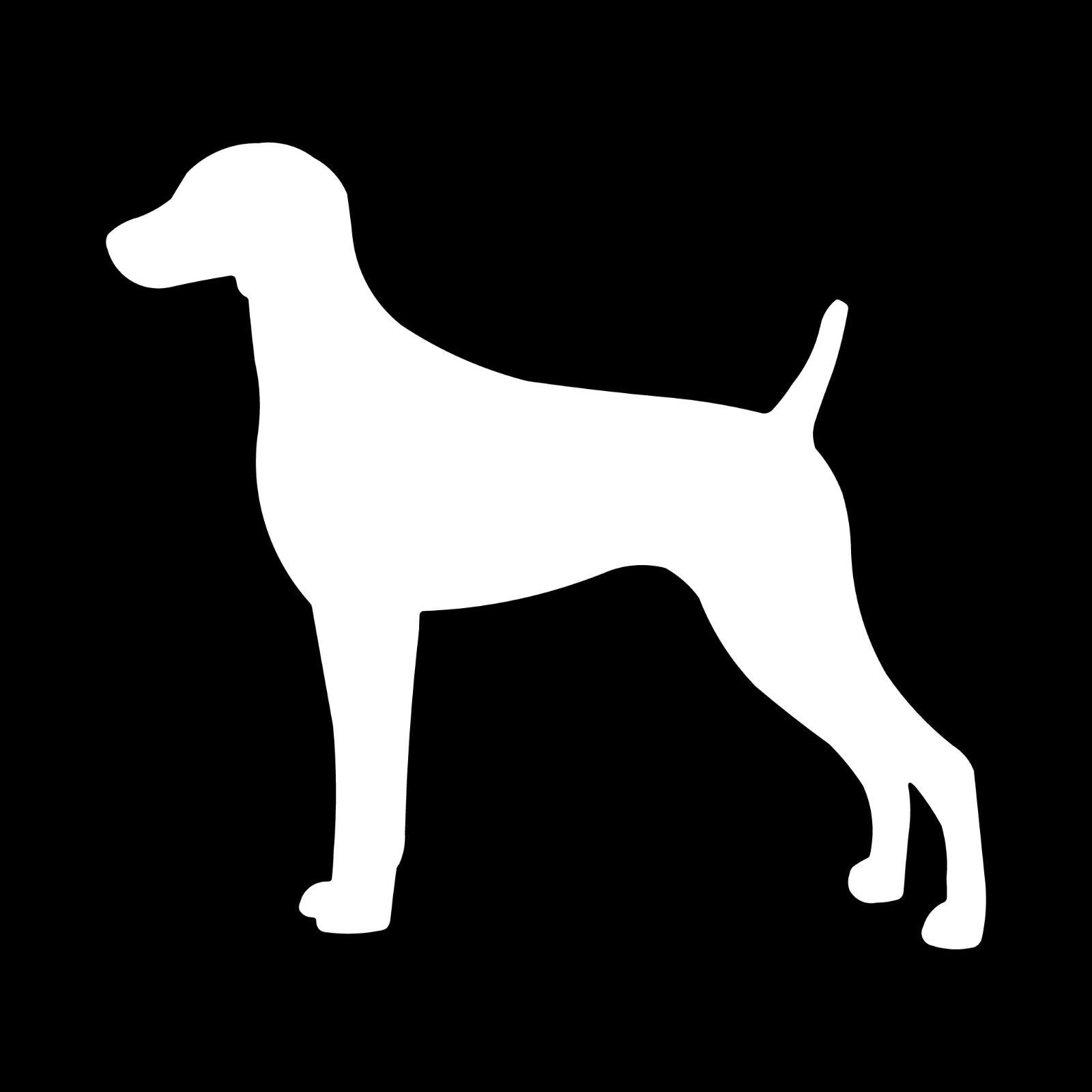 Weimaraner Vinyl Die Cut Vinyl Decal/ Bumper For Windows, Cars, Trucks, Laptops, Etc.
