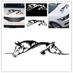 Creative Car Die Cut Vinyl Decal