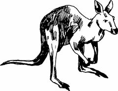 Kangaroo Die-Cut Vinyl Decal