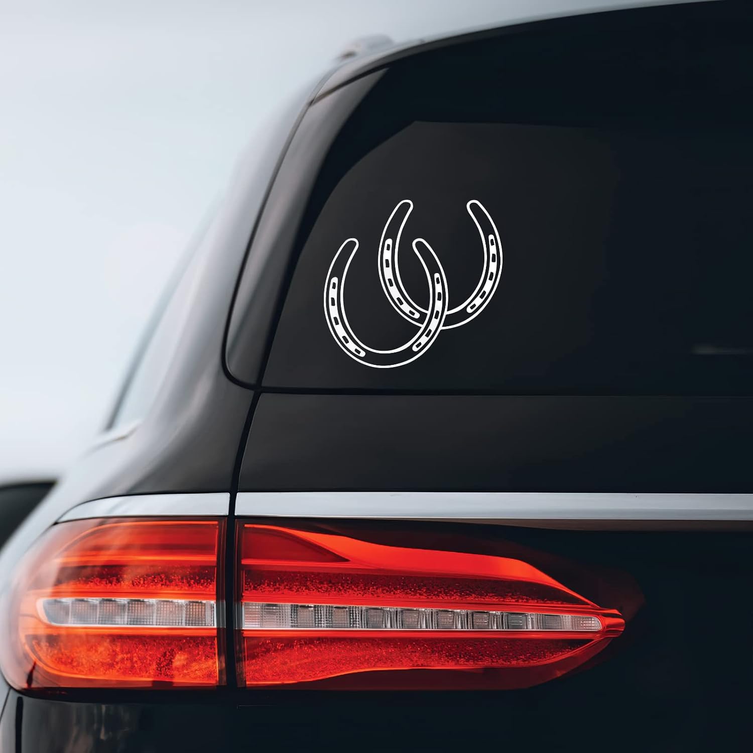 Horseshoes Sticker Decal Notebook Car Laptop Die Cut Vinyl Decal