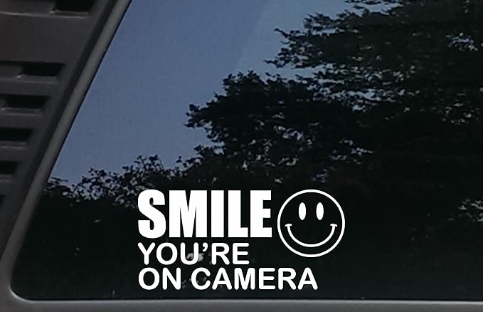 My Flabbers are Gasted Raccoon Stickers  Bumper For Windows, Cars, Trucks, Laptops, Etc.
