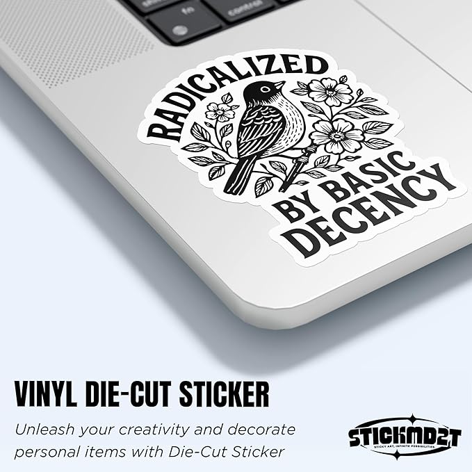 Radicalized by Basic Decency Sticker, Die Cut Vinyl Decal