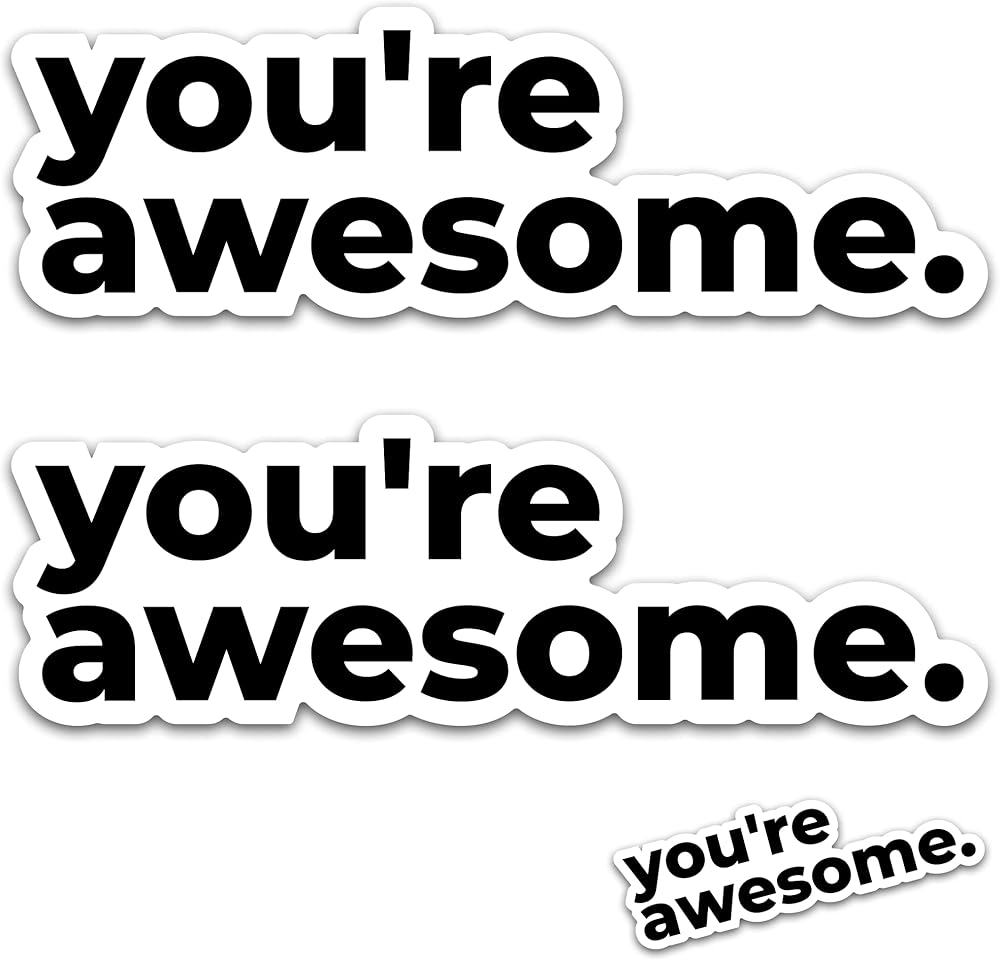 You're Awesome, Inspirational & Motivational Bumper Sticker Die Cut Vinyl Decal