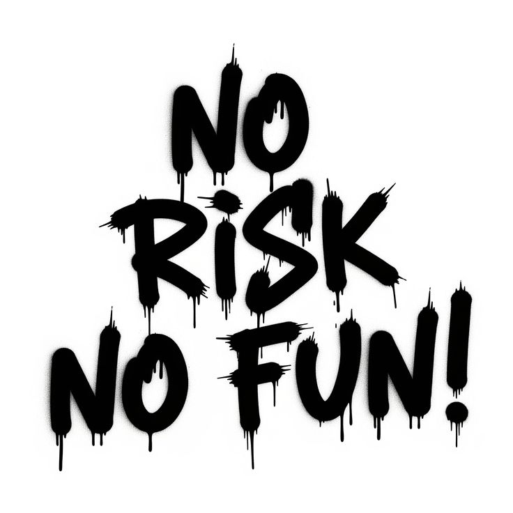 No Risk No Fun! Die Cut Vinyl Decal
