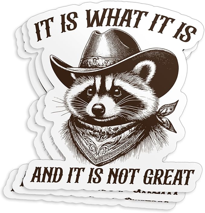 It Is What It Is Sticker and It Is Not Great, Funny Raccoon Meme Sticker Bumper For Windows, Cars, Trucks, Laptops, Etc.