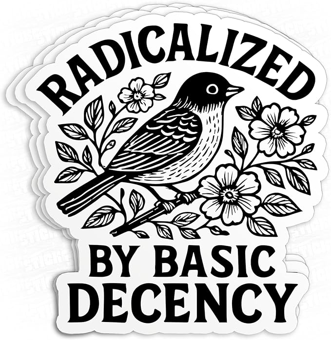Radicalized by Basic Decency Sticker, Die Cut Vinyl Decal