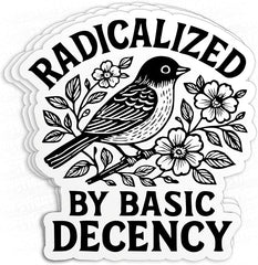 Radicalized by Basic Decency Sticker, Die Cut Vinyl Decal