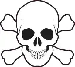 skull and cross bones bumper  Die Cut Vinyl Decal