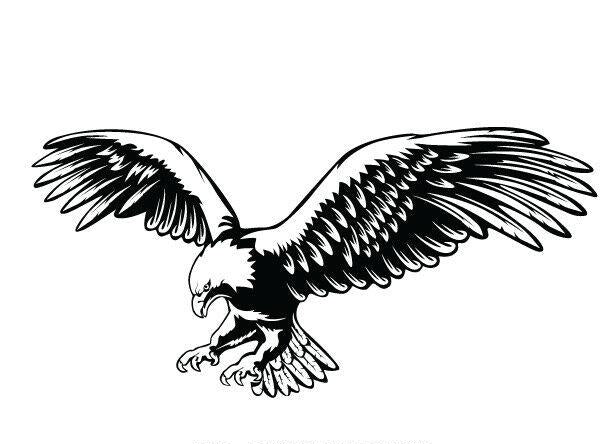 Large Eagle decal for boat Die Cut Vinyl Decal