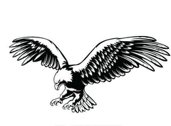 Large Eagle decal for boat Die Cut Vinyl Decal