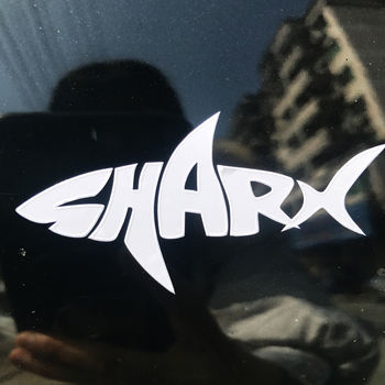 High Quality Outdoor Vehicle Use Custom Logo Letter Die Cut Vinyl Decal
