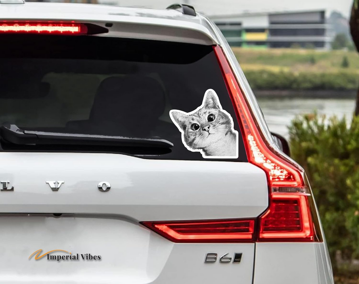 Factory Price Custom Die Cut Vinyl Decal Stickers , Die-Cut Decal