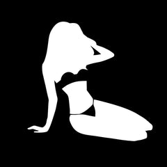 Windshield Window Vinyl Decal Car Sticker, Die Cut Vinyl Decal