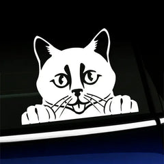 Peeking Cat - Vinyl Car Decal Die Cut Vinyl Decal