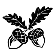Oak Tree Acorn Nature Leaves Window Decals Car Sticker Accessories 16.8CM*14.3CM Die Cut Vinyl Decal
