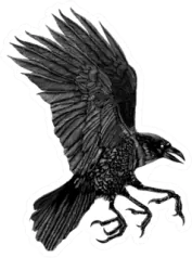 A Three-legged Crow Sticker Die Cut Vinyl Decal