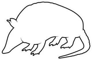 Animal Silhouette Armadillo On White Sticker Die Cut Vinyl Decal