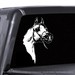 Arabian Premium Vinyl Decal Die Cut Vinyl Decal