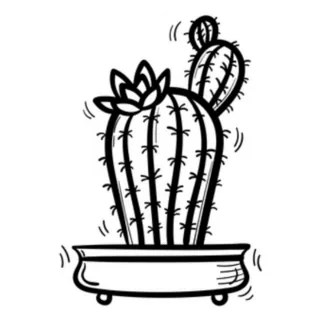 Cactus Illustration Sticker Die Cut Vinyl Decal