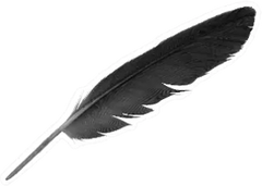 Beautiful Black Crow Feather Isolated Die Cut Vinyl Decal