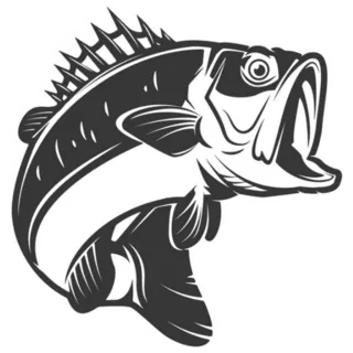 Bass Fish Illustration Sticker Die Cut Vinyl Decal