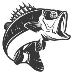 Bass Fish Illustration Sticker Die Cut Vinyl Decal