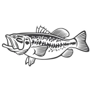 Bass Fish Illustration Die Cut Vinyl Decal