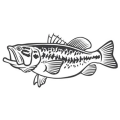 Bass Fish Illustration Die Cut Vinyl Decal