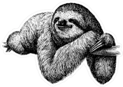 Engraved Sloth Sticker Die Cut Vinyl Decal
