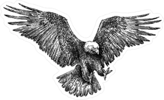 Engraved Style Eagle Sticker Die Cut Vinyl Decal